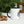 Load image into Gallery viewer, "MCO" Mug
