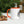 Load image into Gallery viewer, "MCO" Mug